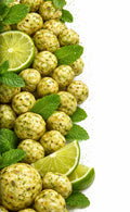 MINT MAKHANA-90gm