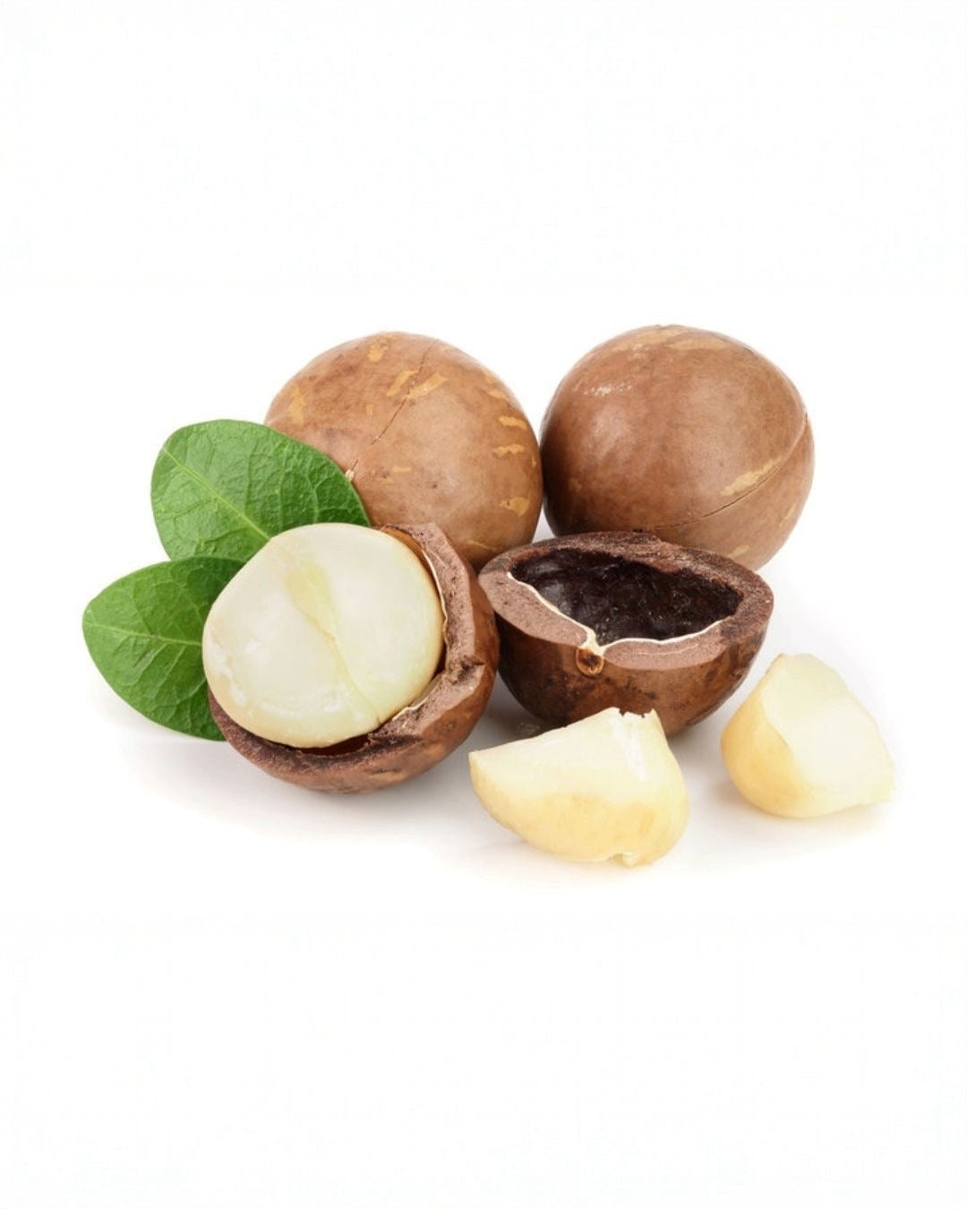 MACADAMIA