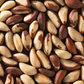 BRAZIL NUTS