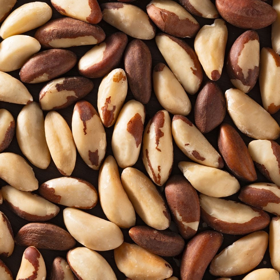 BRAZIL NUTS
